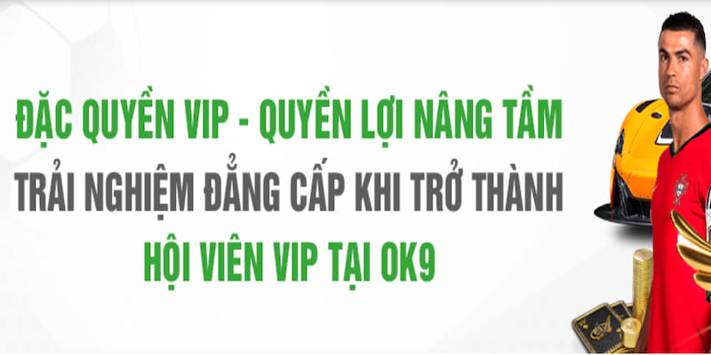 Thăng cấp VIP nhận vô vàn phúc lợi hấp dẫn từ nhà cái